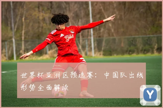 世界杯亚洲区预选赛：中国队出线形势全面解读