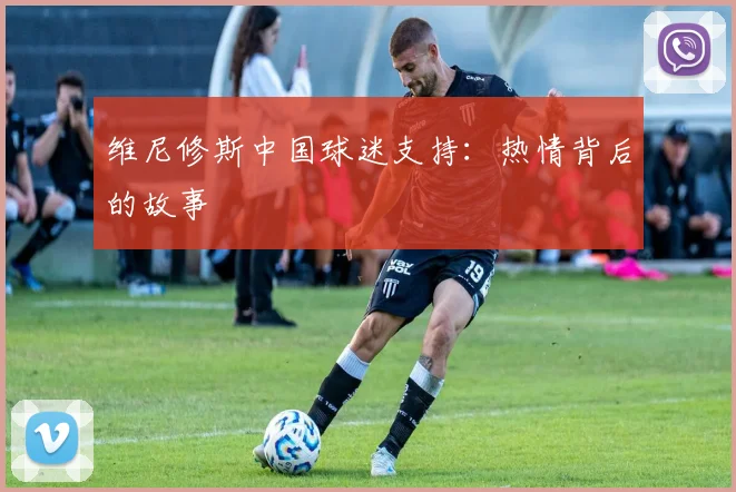 维尼修斯中国球迷支持:热情背后的故事